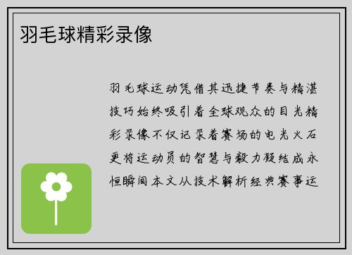 羽毛球精彩录像